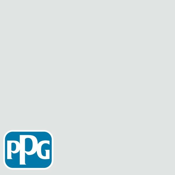 PPG1036-1 Gray Glimpse For Cheap